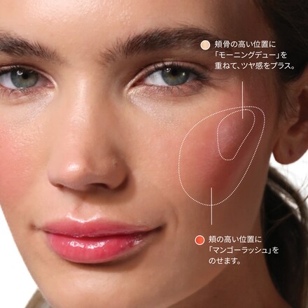 SKIN ENHANCER MULTI-STICK
